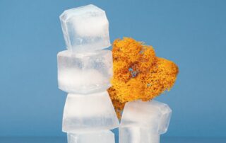 tamaño y forma del hielo